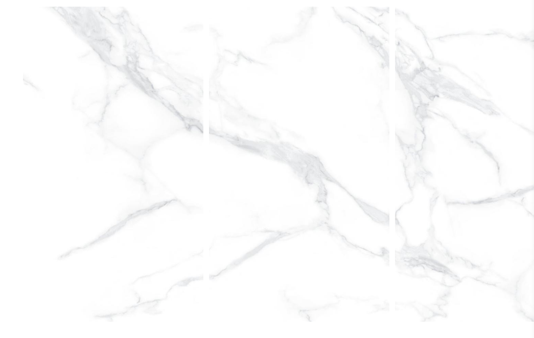 Weixin Image_20260221153700_3298_4